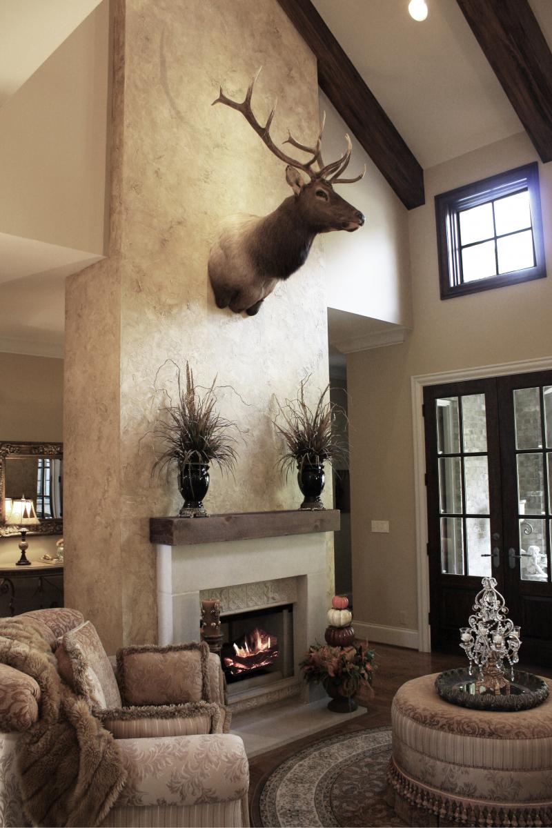 Beautiful wall color and feature wall plaster faux design and elk.